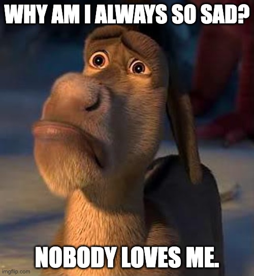 sad donkey | WHY AM I ALWAYS SO SAD? NOBODY LOVES ME. | image tagged in sad donkey | made w/ Imgflip meme maker