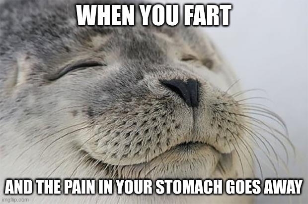 When you fart... | WHEN YOU FART; AND THE PAIN IN YOUR STOMACH GOES AWAY | image tagged in memes,satisfied seal,fart,fart jokes,fart joke,funny memes | made w/ Imgflip meme maker