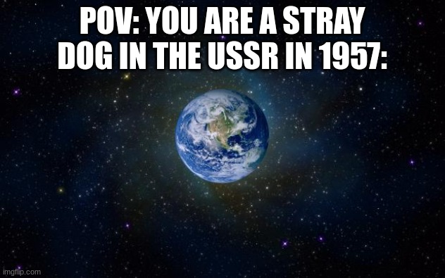 We're gonna send this animal into space! | POV: YOU ARE A STRAY DOG IN THE USSR IN 1957: | image tagged in planet earth from space | made w/ Imgflip meme maker