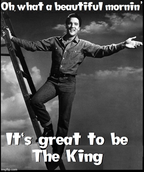 Thank you... Thank you very much | image tagged in vince vance,elvis presley,the king,the king lives,memes,beautiful morning | made w/ Imgflip meme maker