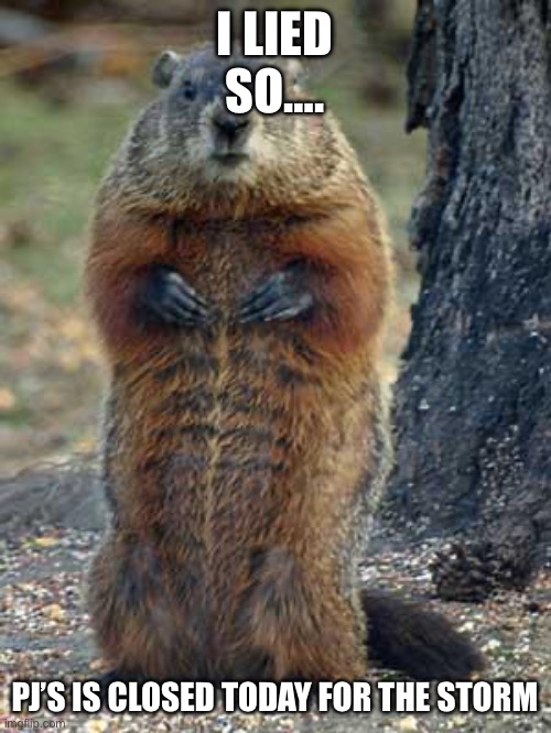 groundhog | I LIED
SO…. PJ’S IS CLOSED TODAY FOR THE STORM | image tagged in groundhog | made w/ Imgflip meme maker