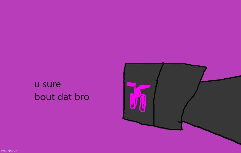 u sure biut dat bro | image tagged in u sure biut dat bro | made w/ Imgflip meme maker