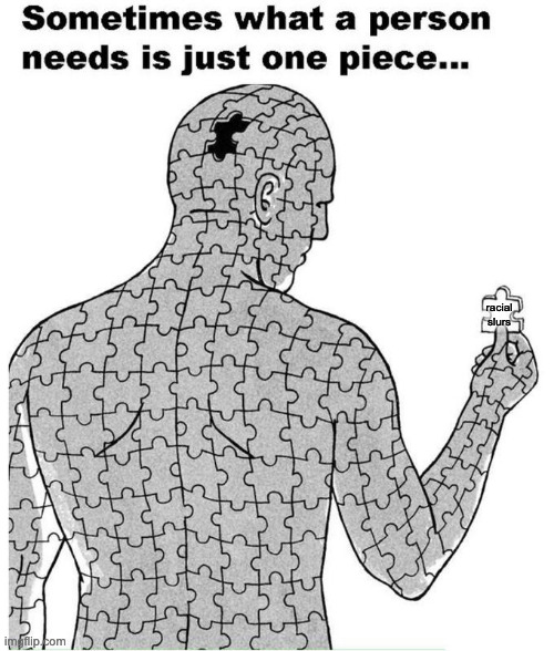 Sometimes what a person needs is just one piece | racial slurs | image tagged in sometimes what a person needs is just one piece | made w/ Imgflip meme maker