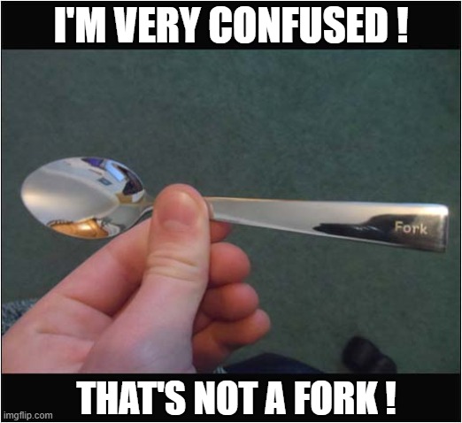 What Is Going On ? | I'M VERY CONFUSED ! THAT'S NOT A FORK ! | image tagged in confused,fork,spoon | made w/ Imgflip meme maker