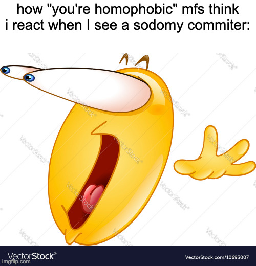 Eyes popping out scared emoji | how "you're homophobic" mfs think i react when I see a sodomy commiter: | image tagged in eyes popping out scared emoji | made w/ Imgflip meme maker