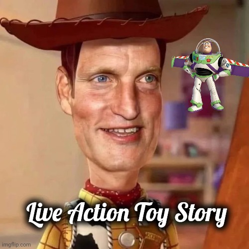 Wrong Woody | Live Action Toy Story | image tagged in creepy,patrick mom come pick me up i'm scared,remake,holy music stops | made w/ Imgflip meme maker