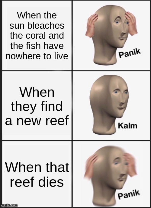 Panik Kalm Panik Meme | When the sun bleaches the coral and the fish have nowhere to live; When they find a new reef; When that reef dies | image tagged in memes,panik kalm panik | made w/ Imgflip meme maker