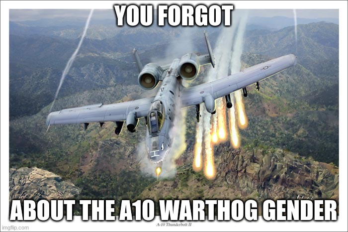 A10 Warthog | YOU FORGOT ABOUT THE A10 WARTHOG GENDER | image tagged in a10 warthog | made w/ Imgflip meme maker