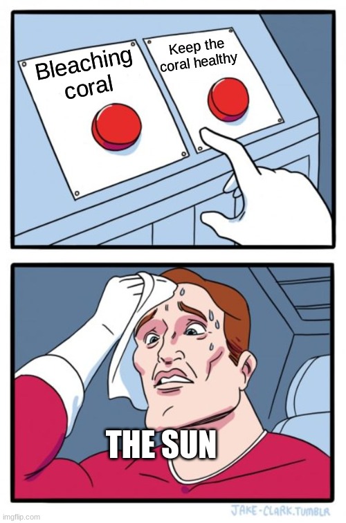 Two Buttons Meme | Keep the coral healthy; Bleaching coral; THE SUN | image tagged in memes,two buttons | made w/ Imgflip meme maker