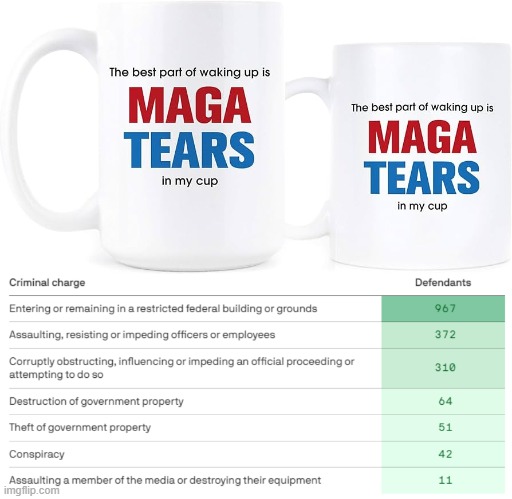 MILLION$ OF MAGA TEARS AND SO MANY MORE TO COME ! | image tagged in maga tears,criminal charges,insurrection,republican,felony,terrorist | made w/ Imgflip meme maker