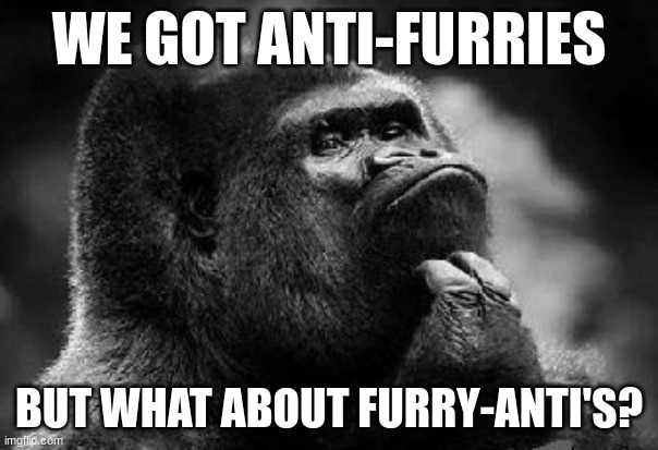 this is somthin to think about | WE GOT ANTI-FURRIES; BUT WHAT ABOUT FURRY-ANTI'S? | image tagged in thinking monkey | made w/ Imgflip meme maker