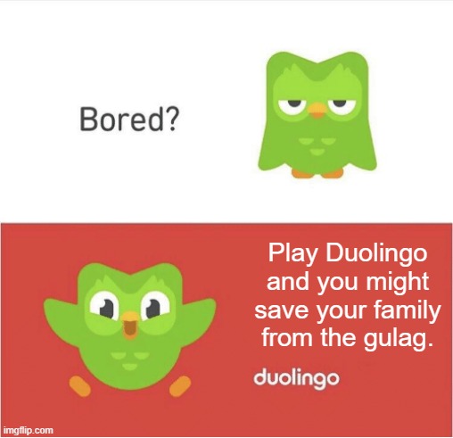 DUOLINGO BORED | Play Duolingo and you might save your family from the gulag. | image tagged in duolingo bored | made w/ Imgflip meme maker