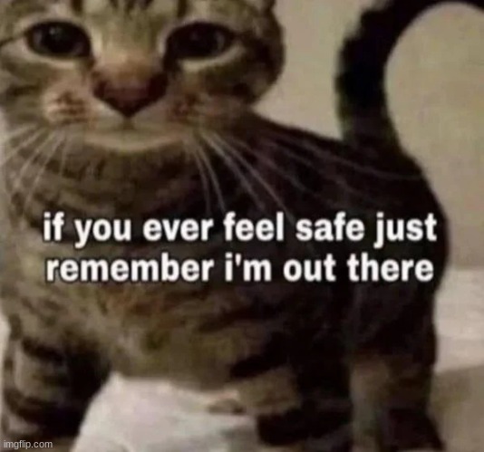 el gato | made w/ Imgflip meme maker