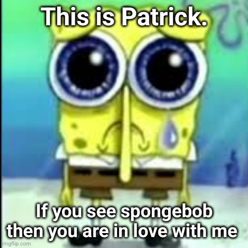 spunch bop sad | This is Patrick. If you see spongebob then you are in love with me | image tagged in spunch bop sad | made w/ Imgflip meme maker