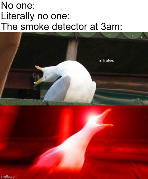 Always happens at night | No one:
Literally no one:
The smoke detector at 3am: | image tagged in white header,inhaling seagull,fire alarm,smoke detector | made w/ Imgflip meme maker