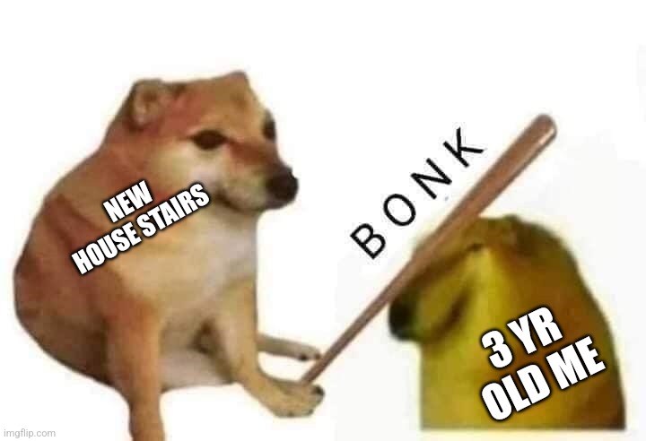 Cheems Bonk | NEW HOUSE STAIRS; 3 YR OLD ME | image tagged in cheems bonk | made w/ Imgflip meme maker