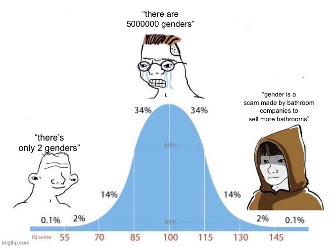 Bell Curve | “there are 5000000 genders”; “gender is a scam made by bathroom companies to sell more bathrooms”; “there’s only 2 genders” | image tagged in bell curve | made w/ Imgflip meme maker