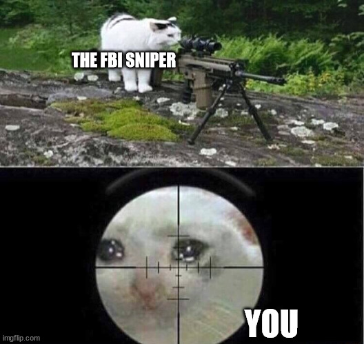 Sniper cat | THE FBI SNIPER YOU | image tagged in sniper cat | made w/ Imgflip meme maker