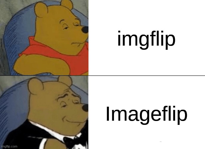 Imgflip or Imageflip | imgflip; Imageflip | image tagged in memes,tuxedo winnie the pooh | made w/ Imgflip meme maker