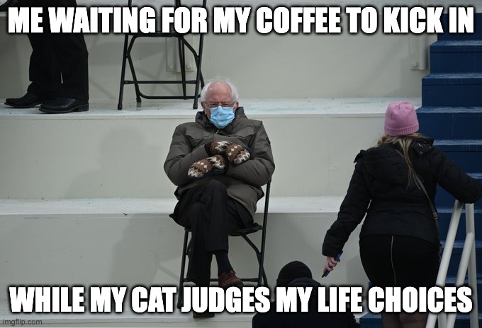 Bernie sitting | ME WAITING FOR MY COFFEE TO KICK IN; WHILE MY CAT JUDGES MY LIFE CHOICES | image tagged in bernie sitting | made w/ Imgflip meme maker