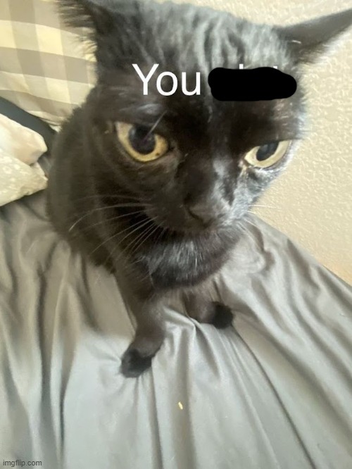 You slut | image tagged in you slut | made w/ Imgflip meme maker