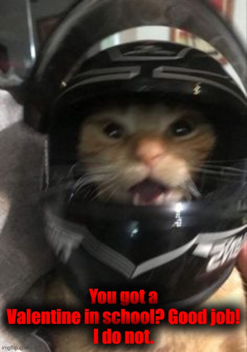 You got a Valentine in school? Good job!
I do not. | made w/ Imgflip meme maker