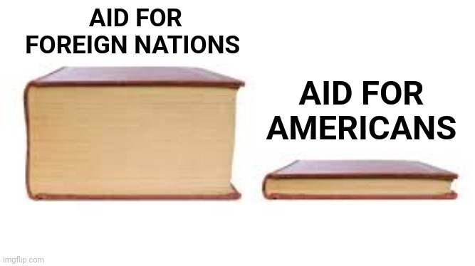 Just another $95 Billion | AID FOR FOREIGN NATIONS; AID FOR AMERICANS | image tagged in big book small book,corruption,payoffs,money laundering,government corruption,taxation is theft | made w/ Imgflip meme maker