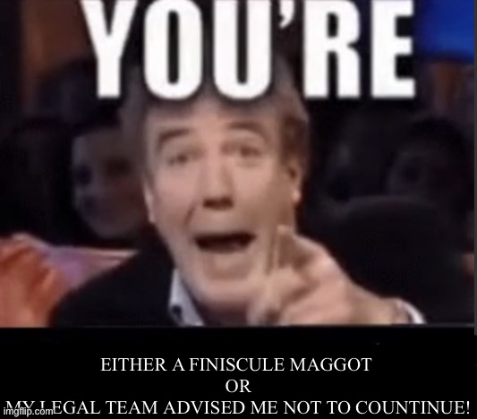 You're X (Blank) | EITHER A FINISCULE MAGGOT 
OR
MY LEGAL TEAM ADVISED ME NOT TO COUNTINUE! | image tagged in you're x blank | made w/ Imgflip meme maker