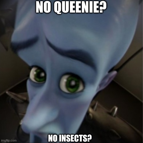 Megamind peeking | NO QUEENIE? NO INSECTS? | image tagged in megamind peeking | made w/ Imgflip meme maker