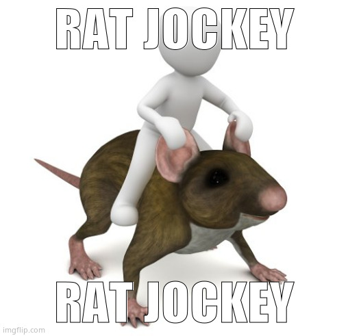 gm | RAT JOCKEY; RAT JOCKEY | image tagged in rat jockey | made w/ Imgflip meme maker