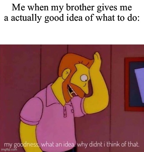 my goodness what an idea why didn't I think of that | Me when my brother gives me a actually good idea of what to do: | image tagged in my goodness what an idea why didn't i think of that | made w/ Imgflip meme maker