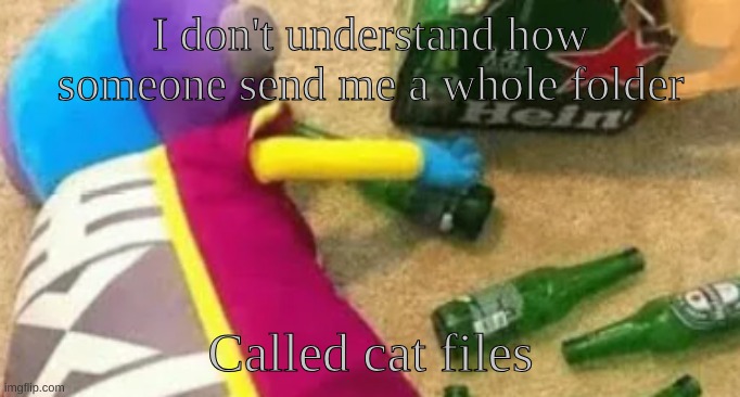 yuh | I don't understand how someone send me a whole folder; Called cat files | image tagged in idiot | made w/ Imgflip meme maker