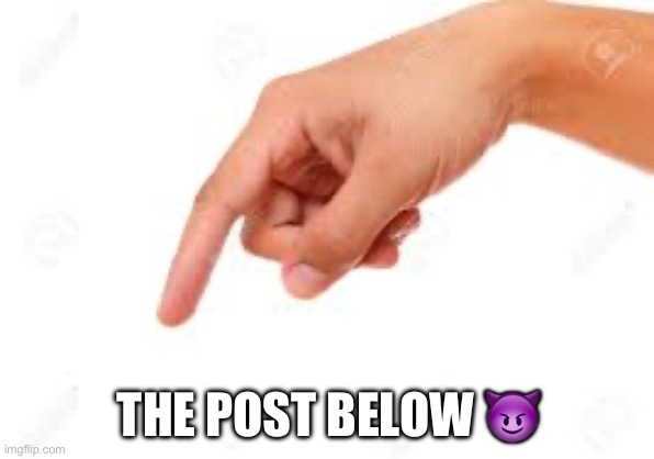 the person below | THE POST BELOW ? | image tagged in the person below | made w/ Imgflip meme maker