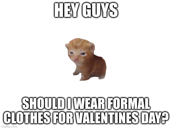 should I? comment your answer | HEY GUYS; SHOULD I WEAR FORMAL CLOTHES FOR VALENTINES DAY? | image tagged in valentine's day | made w/ Imgflip meme maker