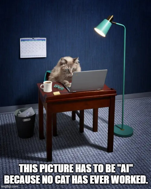 meme by Brad an AI picture showing a cat working | THIS PICTURE HAS TO BE "AI" BECAUSE NO CAT HAS EVER WORKED. | image tagged in cats,funny cat memes,humor,funny,funny meme | made w/ Imgflip meme maker