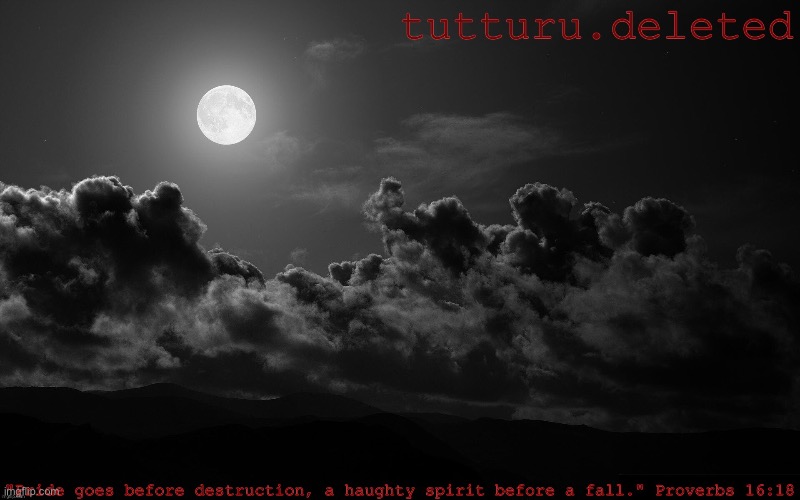 tutturu announcement template | image tagged in tutturu announcement template | made w/ Imgflip meme maker