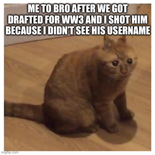 oh no cringe | ME TO BRO AFTER WE GOT DRAFTED FOR WW3 AND I SHOT HIM BECAUSE I DIDN’T SEE HIS USERNAME | image tagged in oh no cringe | made w/ Imgflip meme maker