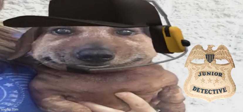 chucklenuts | image tagged in chucklenuts | made w/ Imgflip meme maker