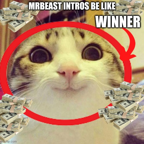 Mr beast be like | MRBEAST INTROS BE LIKE; WINNER | image tagged in smiling cat | made w/ Imgflip meme maker