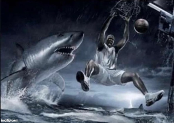 Shaquille o Neal dunking in front of sharks | image tagged in shaquille o neal dunking in front of sharks | made w/ Imgflip meme maker