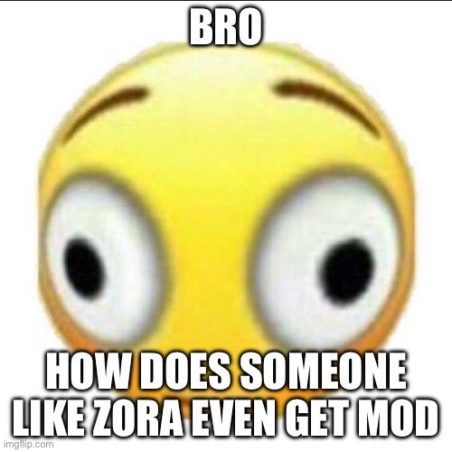 bonk | BRO; HOW DOES SOMEONE LIKE ZORA EVEN GET MOD | image tagged in bonk | made w/ Imgflip meme maker