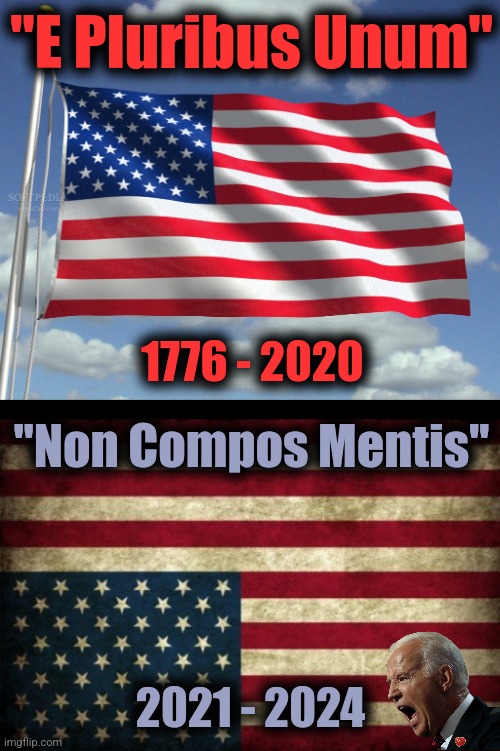 Joe Biden out of his damn mind | "E Pluribus Unum"; 1776 - 2020; "Non Compos Mentis"; 2021 - 2024 | image tagged in us flag,upside down flag,joe biden,non compos mentis,e pluribus unum,democrats | made w/ Imgflip meme maker