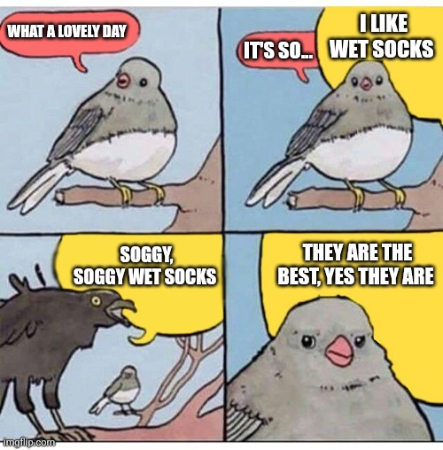 Wet socks | I LIKE WET SOCKS; WHAT A LOVELY DAY; IT'S SO... THEY ARE THE BEST, YES THEY ARE; SOGGY, SOGGY WET SOCKS | image tagged in annoyed bird,gross,jpfan102504 | made w/ Imgflip meme maker