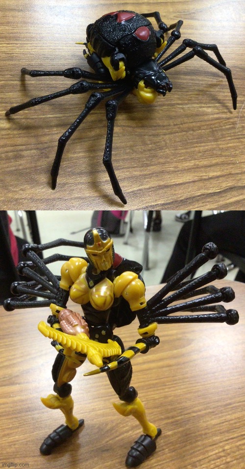 What do you do when the spider in the corner does this? | made w/ Imgflip meme maker