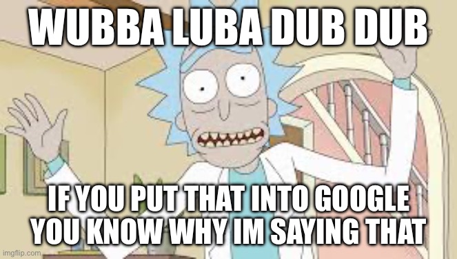 Wubba Lubba Dub Dub | WUBBA LUBA DUB DUB; IF YOU PUT THAT INTO GOOGLE YOU KNOW WHY IM SAYING THAT | image tagged in wubba lubba dub dub | made w/ Imgflip meme maker