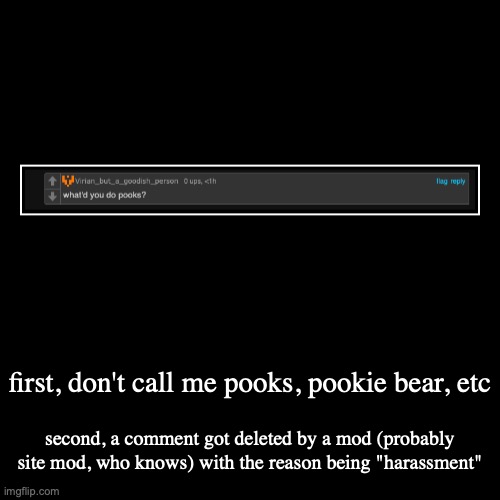 first, don't call me pooks, pookie bear, etc | second, a comment got deleted by a mod (probably site mod, who knows) with the reason being " | image tagged in funny,demotivationals | made w/ Imgflip demotivational maker