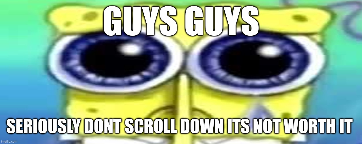Sad Spong | GUYS GUYS; SERIOUSLY DONT SCROLL DOWN ITS NOT WORTH IT | image tagged in sad spong | made w/ Imgflip meme maker