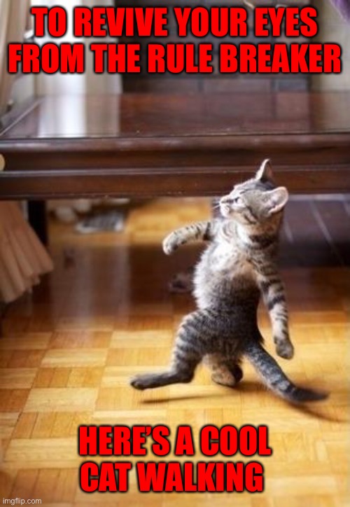 Cool Cat Stroll | TO REVIVE YOUR EYES FROM THE RULE BREAKER; HERE’S A COOL CAT WALKING | image tagged in memes,cool cat stroll | made w/ Imgflip meme maker