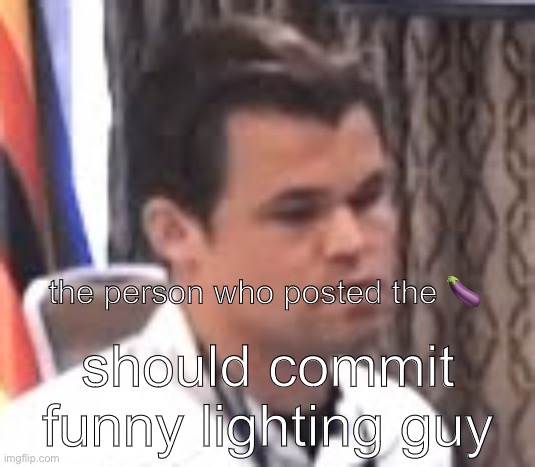 dissatisfied magnus | the person who posted the 🍆; should commit funny lighting guy | image tagged in dissatisfied magnus | made w/ Imgflip meme maker