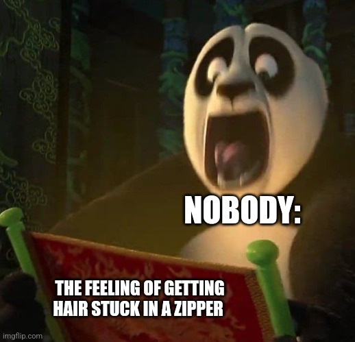 Hair stuck in the zipper | NOBODY:; THE FEELING OF GETTING HAIR STUCK IN A ZIPPER | image tagged in if the dragon scroll wasn't blank,relatable,jpfan102504 | made w/ Imgflip meme maker